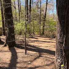 Leaf-Cleanup-and-Removal-in-Oxford-MS 11